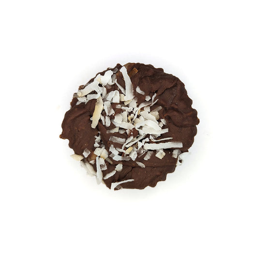 Dairy Free Toasted Coconut